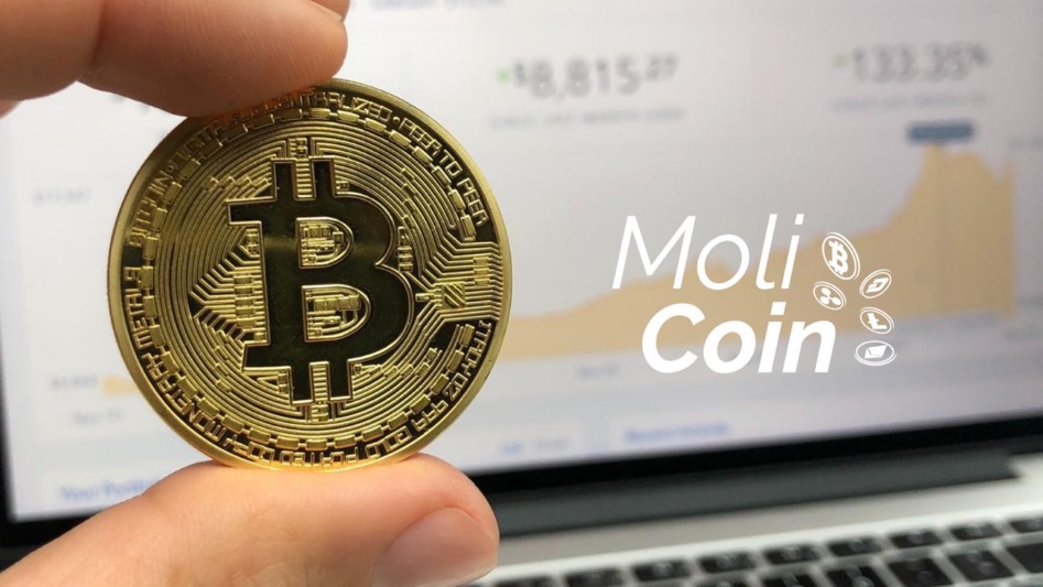 Cover of MoliCoin: crypto training for shops and restaurants on Municipality of La Molina